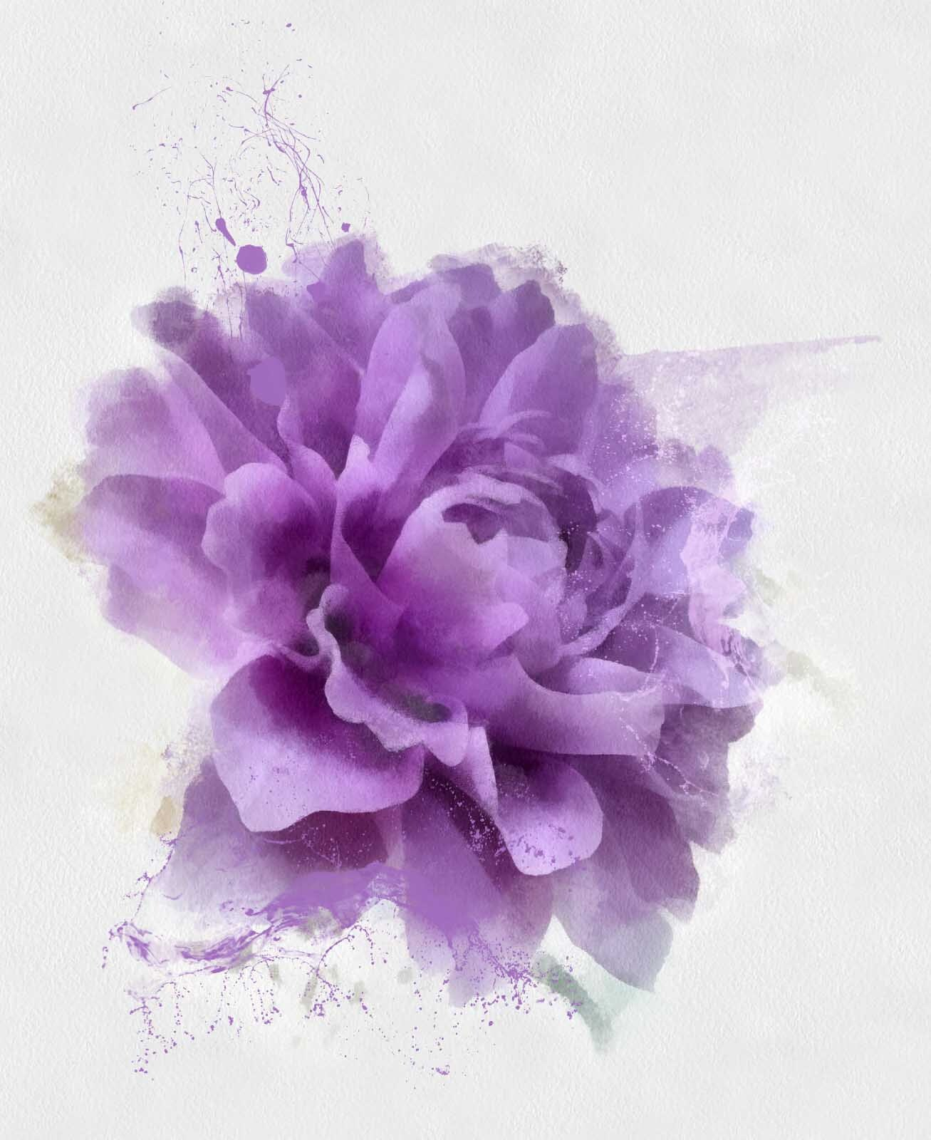 Purple flower with paint splashes u67624p - Purple flower with paint splashes - tegory