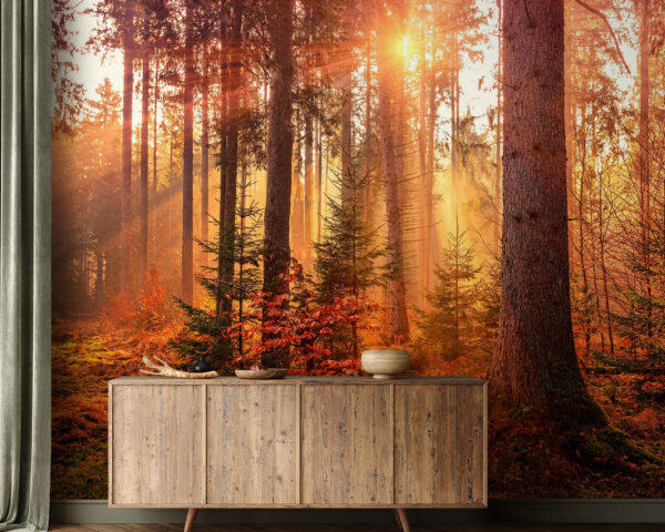 Wall murals Wall murals Sun shining through the trees (SKU: u62639)