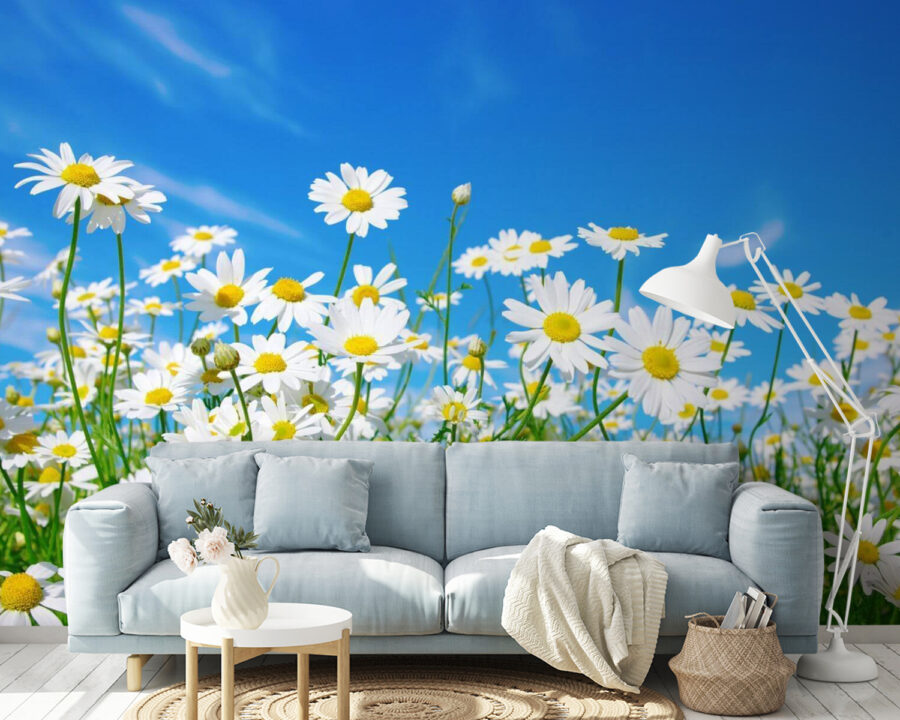 Field of white and yellow flowers