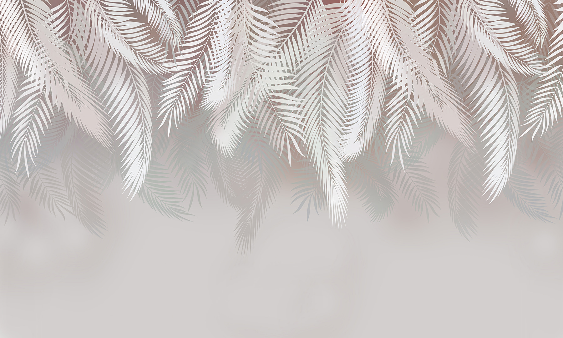 White leaves on a gray background White leaves on a gray background