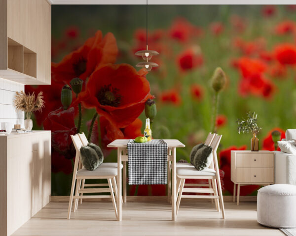 Wall murals Wall murals Field of red flowers (SKU: u61697)