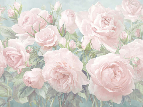 Group of pink roses Group of pink roses