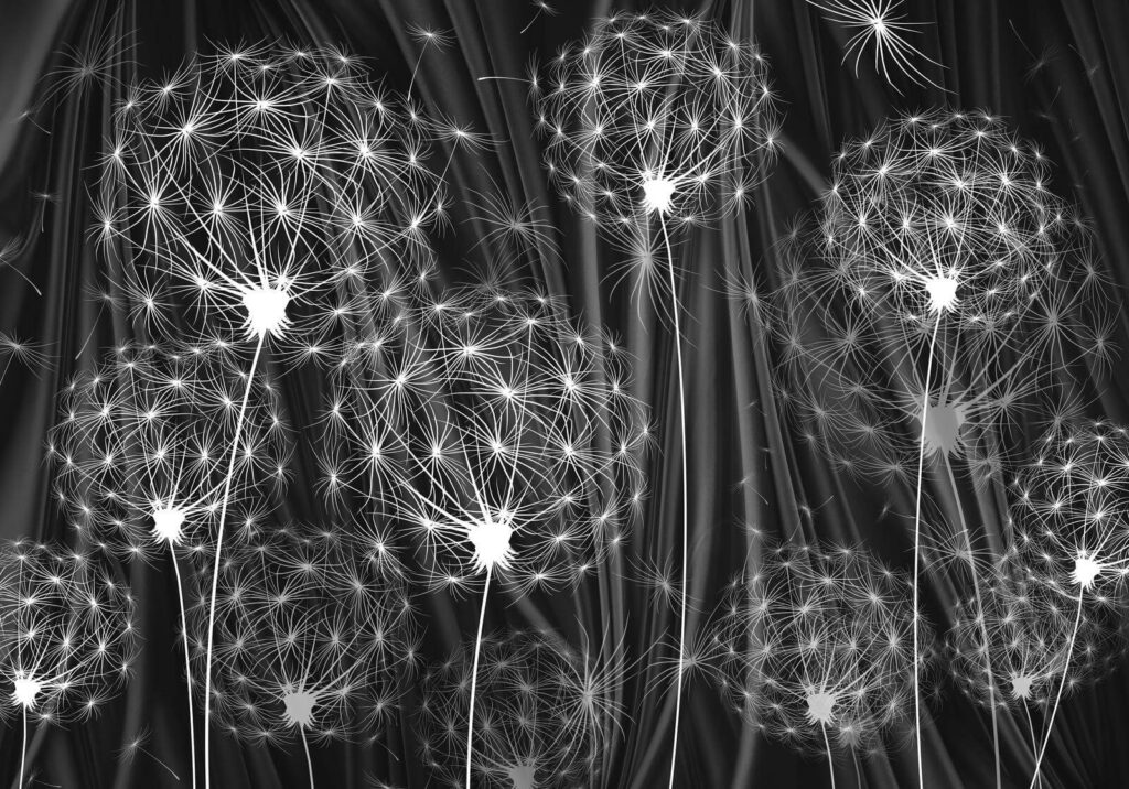 Delicate seeds ready to disperse u61443p 1024x716 - Delicate seeds ready to disperse - tegory