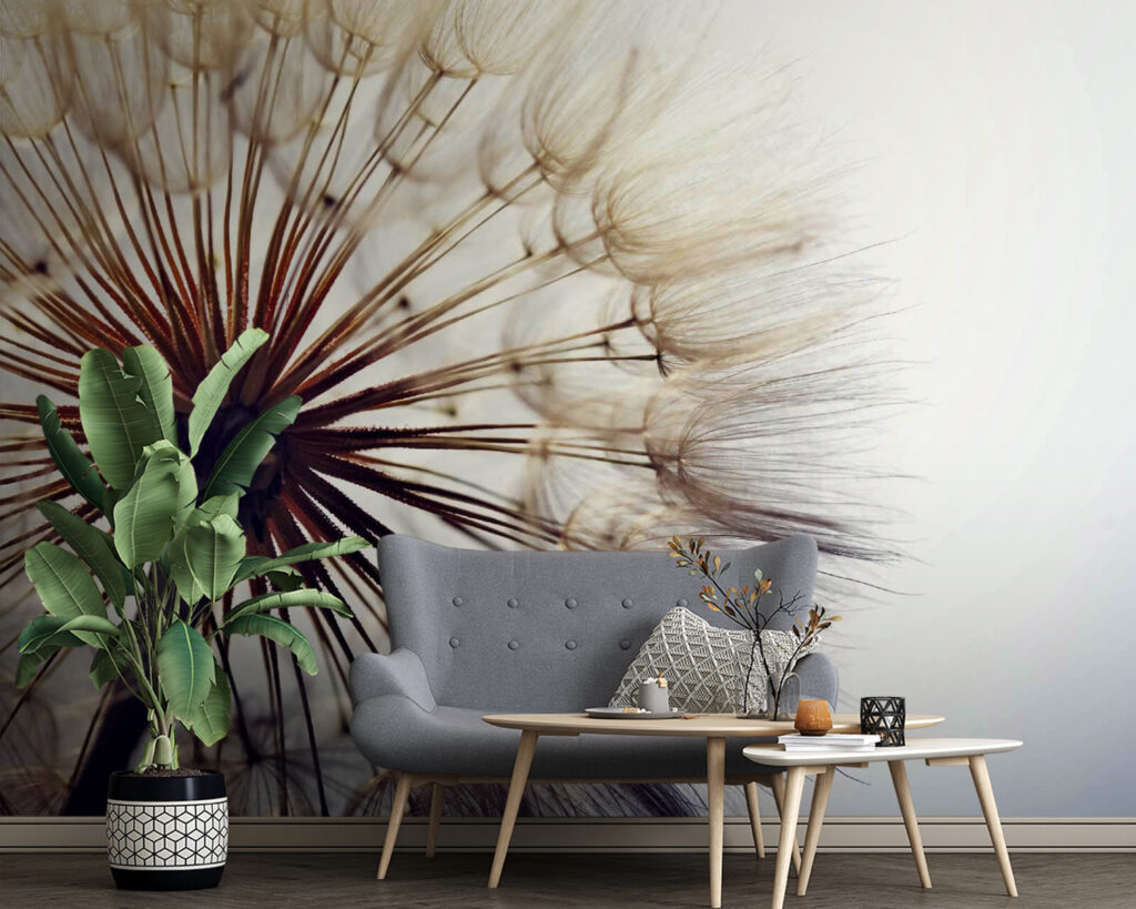 u61427pig4 1024x819 - Delicate seeds ready to disperse - tegory