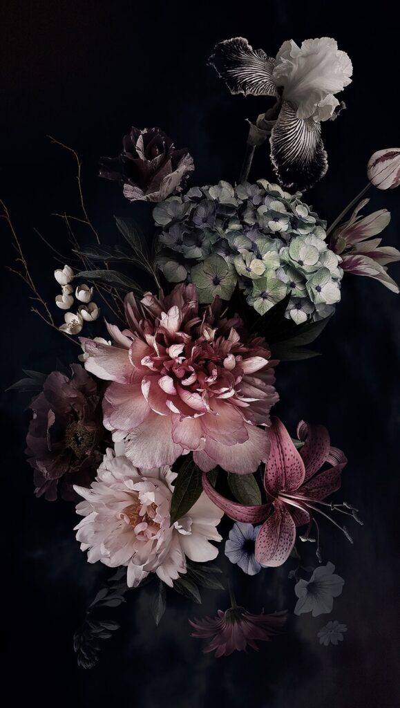 Elegant arrangement of dark blooms. Elegant arrangement of dark blooms.