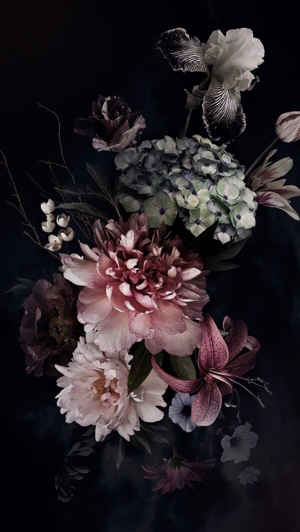 Elegant arrangement of dark blooms. Elegant arrangement of dark blooms.