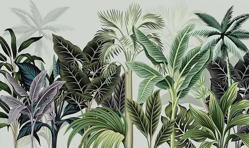 Group of tropical plants Group of tropical plants