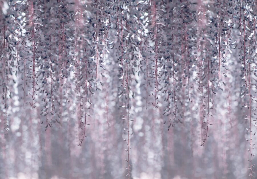 Delicate leaves in soft colors