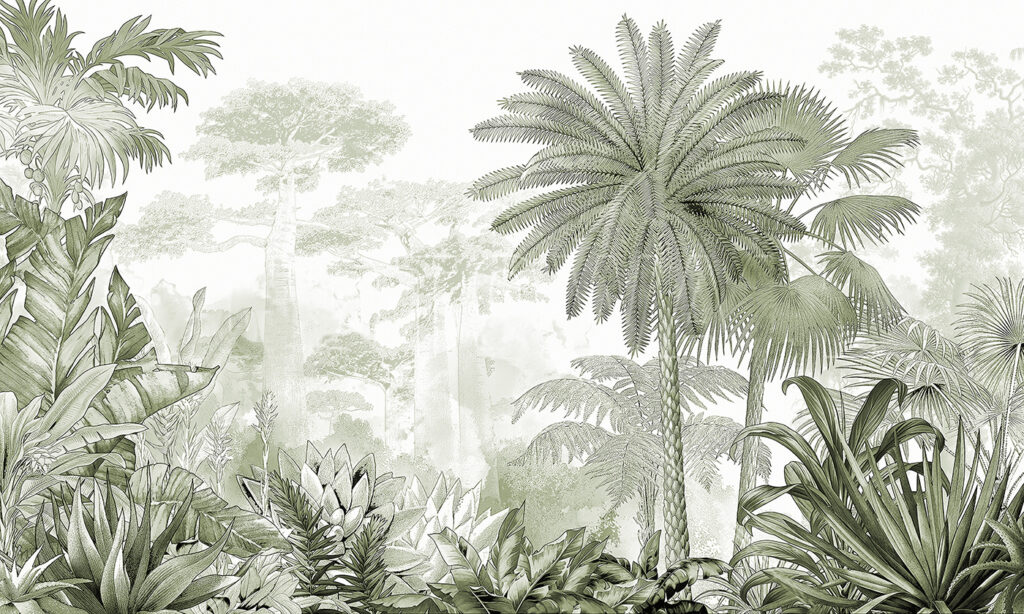 A group of trees and plants A group of trees and plants