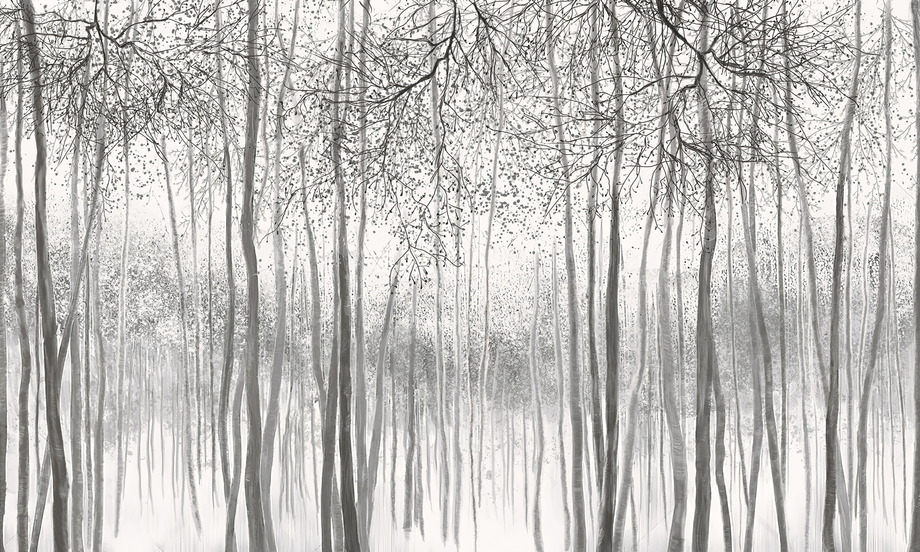 Group of trees in a snowy forest u58938v2p - Group of trees in a snowy forest - tegory
