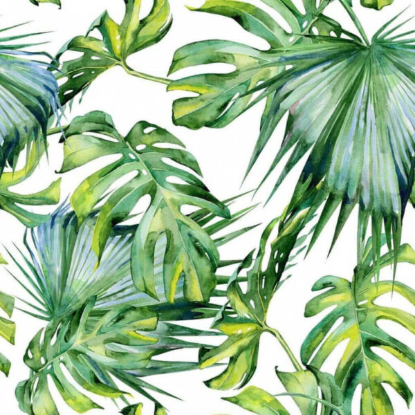 A close up of leaves A close up of leaves
