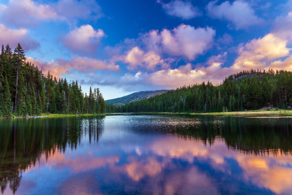 Lake surrounded by trees and mountains Lake surrounded by trees and mountains
