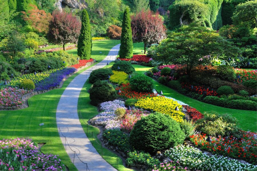 Garden with many flowers and trees u57674p 900x599 - Garden with many flowers and trees - tegory