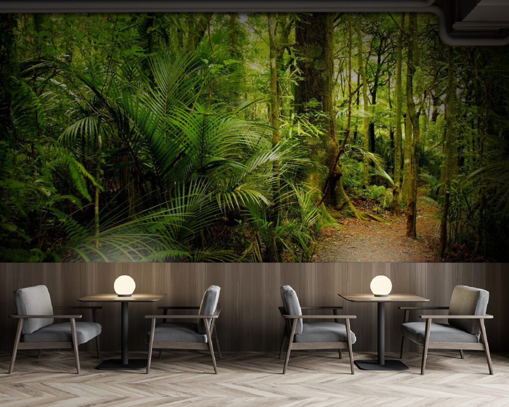 Path through a forest u57297piz137m 1024x819 - Path through a forest - tegory