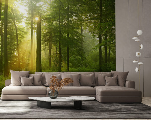 Sun shining through trees