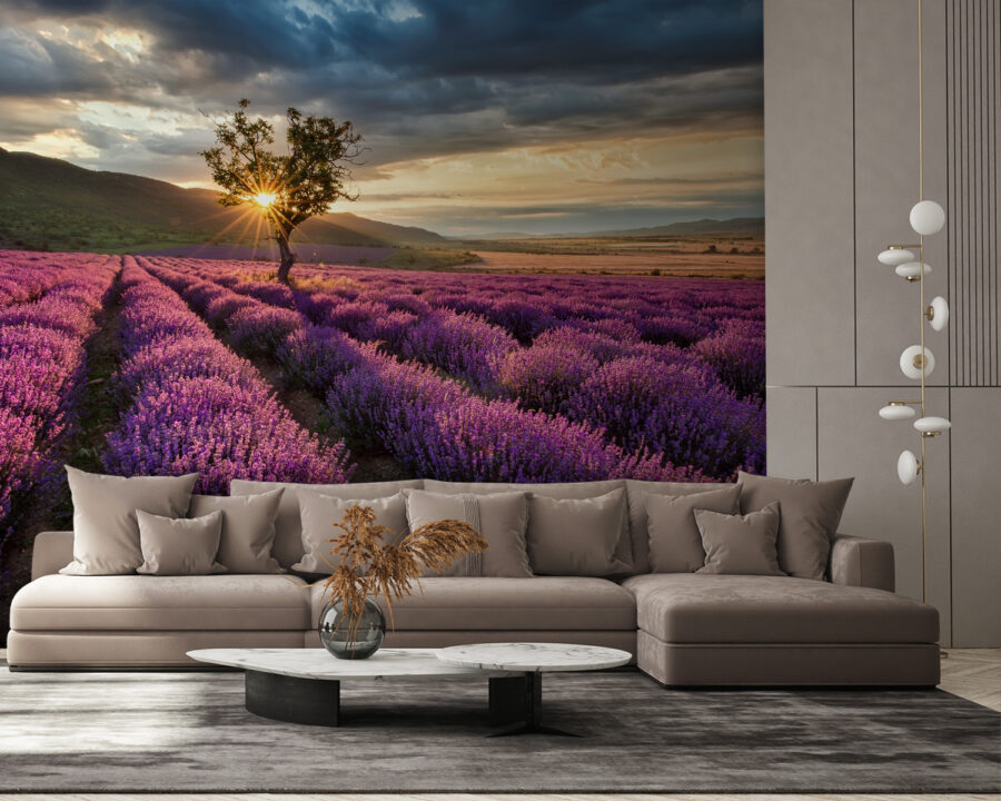 Wall murals Tree in a field of lavender - Image 4