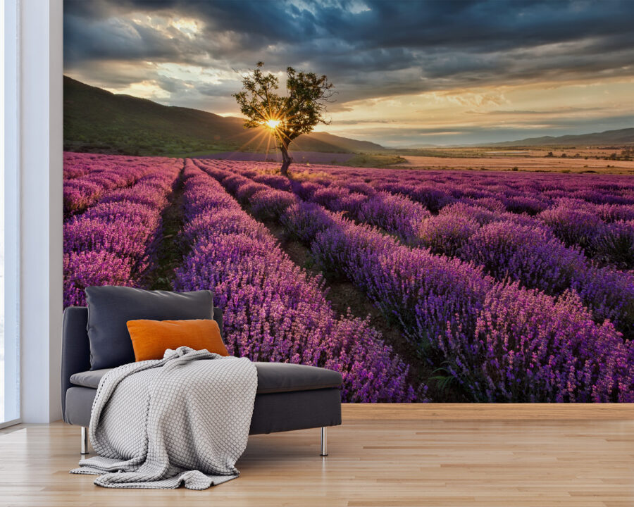 Wall murals Tree in a field of lavender - Image 3