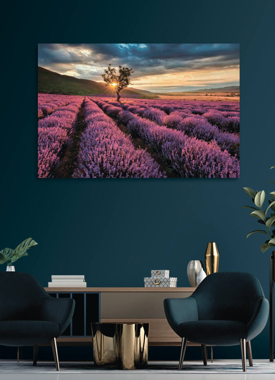 Wall murals Tree in a field of lavender - Image 2