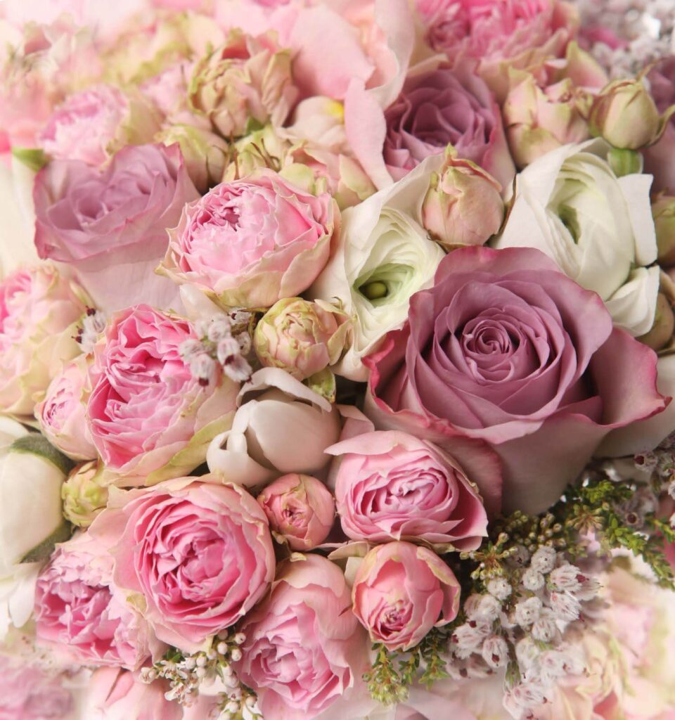 Bouquet of pink and white roses Bouquet of pink and white roses