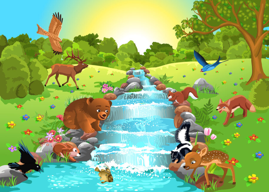 Cartoon of animals in a stream u55792p 900x643 - Cartoon of animals in a stream - tegory