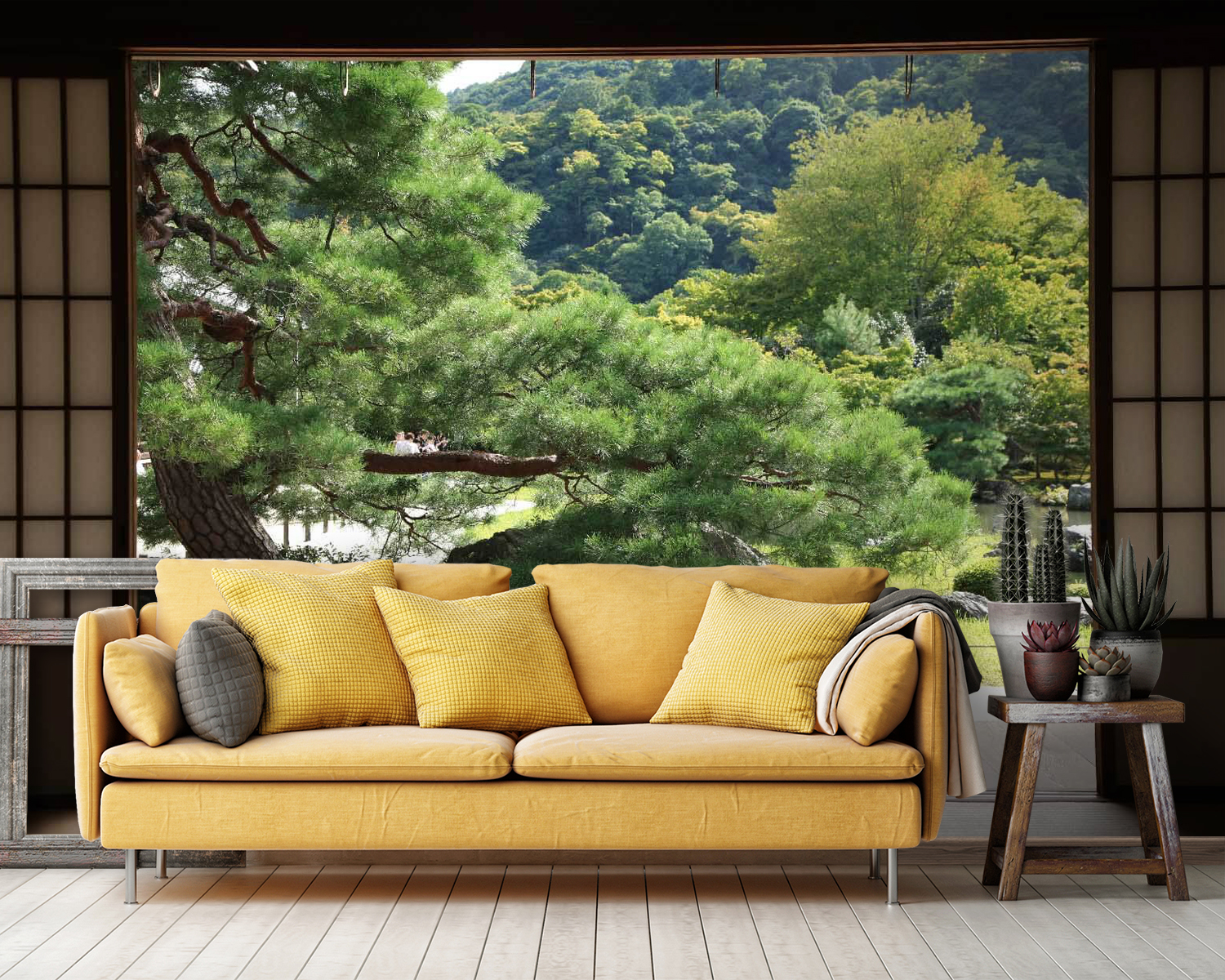 u55780pig36m - View of a forest from a room - tegory