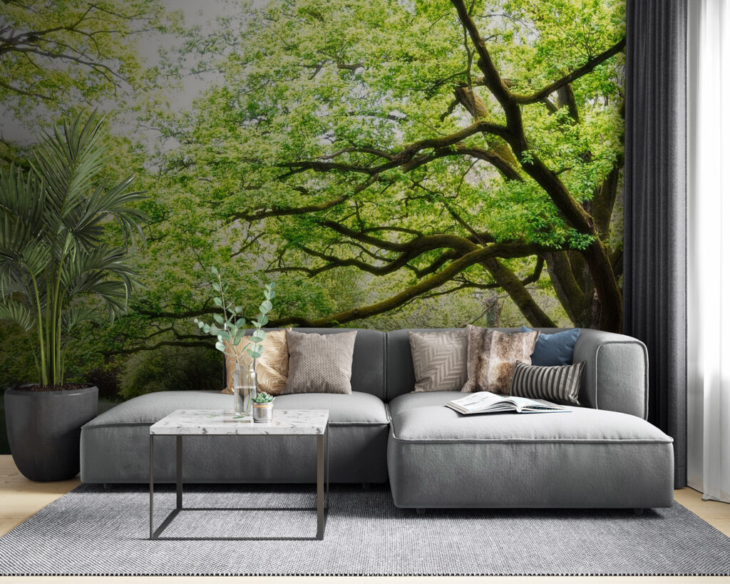 u55659pig53 1024x819 - A tree with green leaves - tegory