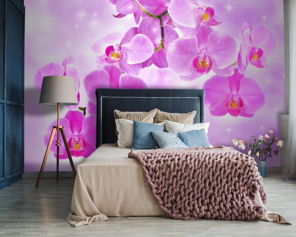 u55600pib87 1024x819 - Delicate orchids in soft hues - tegory