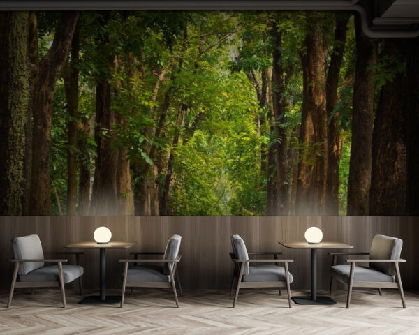 Wall murals Path with trees on the side (SKU: u55418) Wall murals Wall murals Path with trees on the side (SKU: u55418)