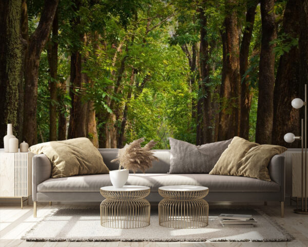 u55418pig9 600x480 - Path with trees on the side - tegory