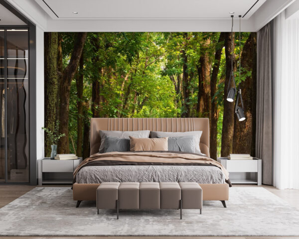 u55418pib115 600x480 - Path with trees on the side - tegory