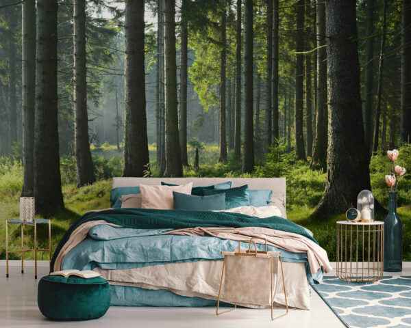 Forest with tall trees and grass Forest with tall trees and grass