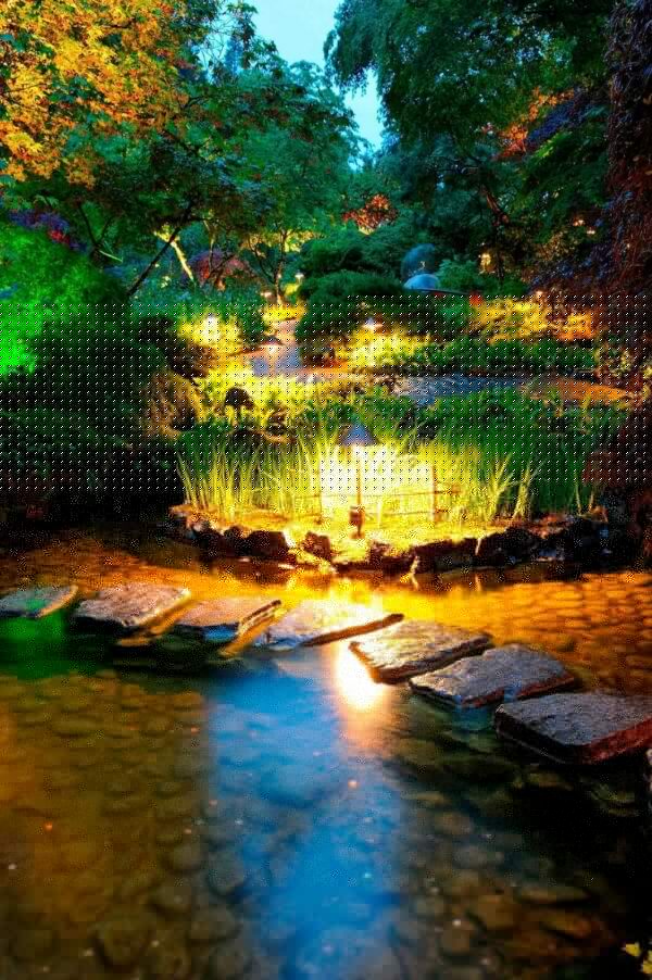 Stone path in a pond with lights Stone path in a pond with lights