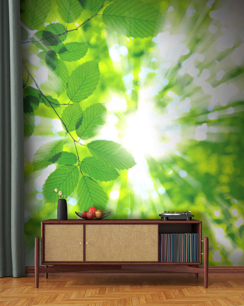 Sun shining through leaves
