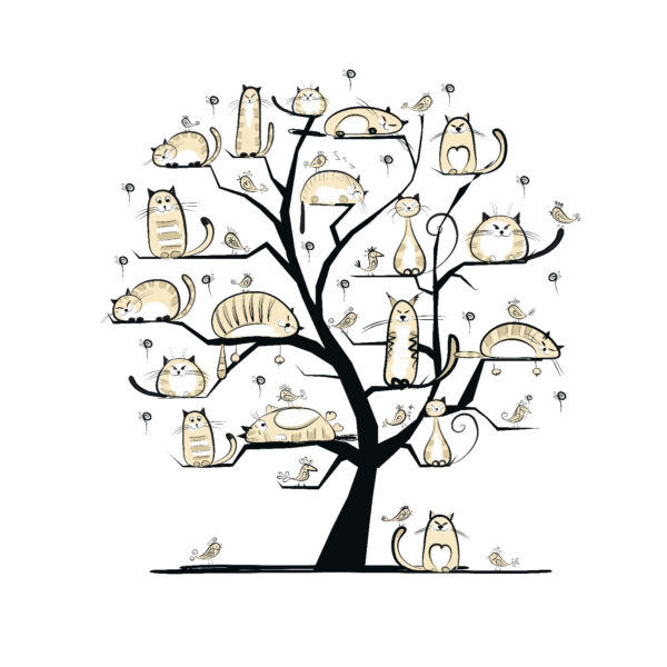 Tree with cats on it Tree with cats on it