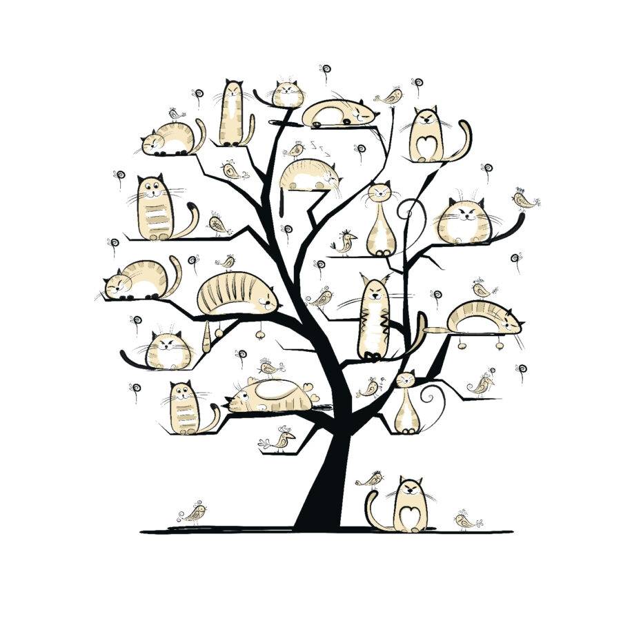 Tree with cats on it Tree with cats on it