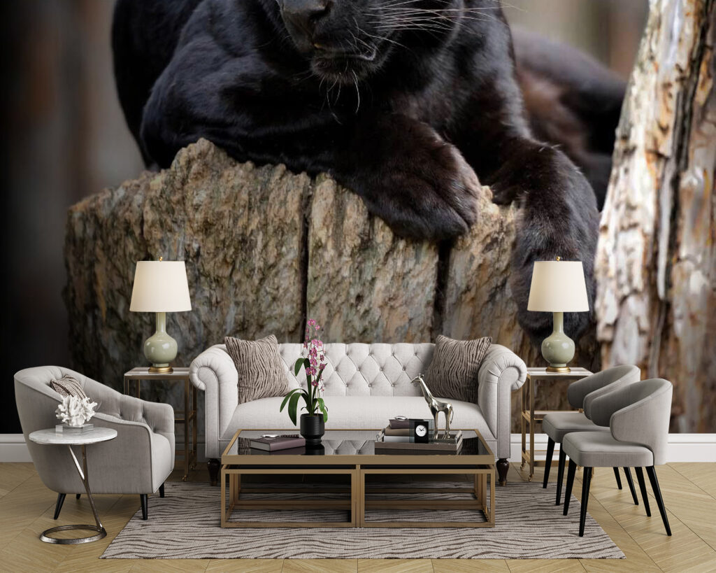 u54741pig43m 1024x819 - Black panther lying on a tree stump - tegory