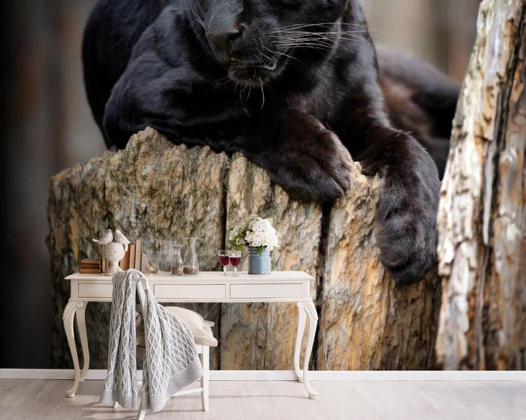 u54741pig5 1024x819 - Black panther lying on a tree stump - tegory