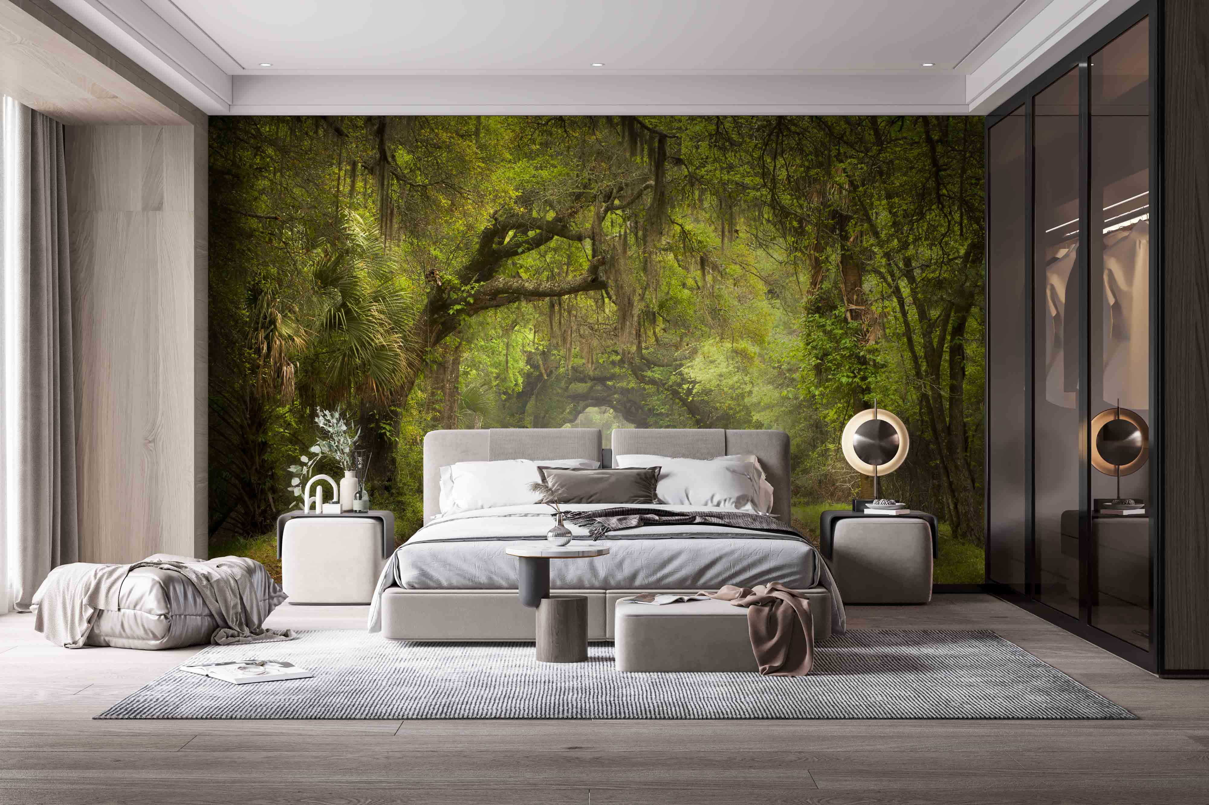 u54614pib1m - Dirt road with trees and mossy branches - tegory