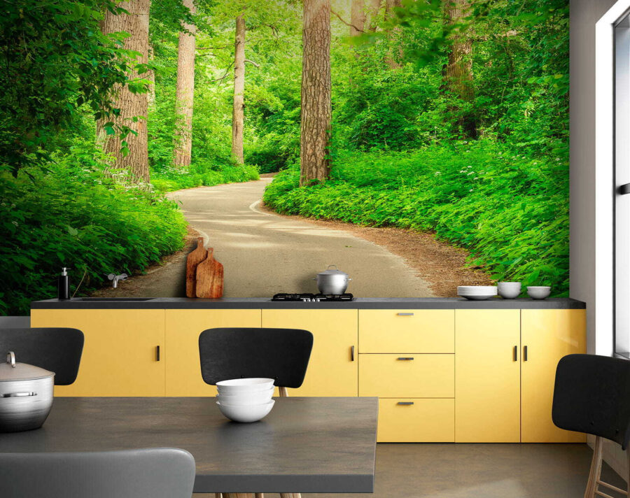 Wall murals Road through a forest - Image 9