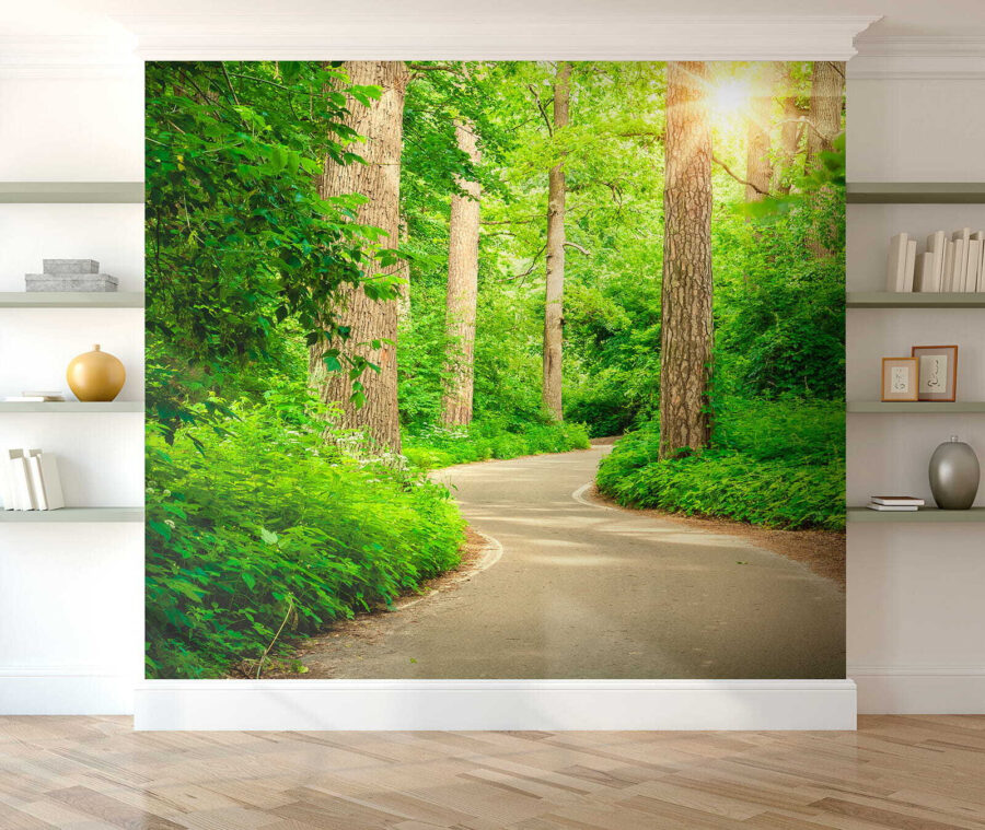 Wall murals Road through a forest - Image 8