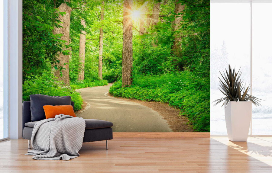 Wall murals Road through a forest