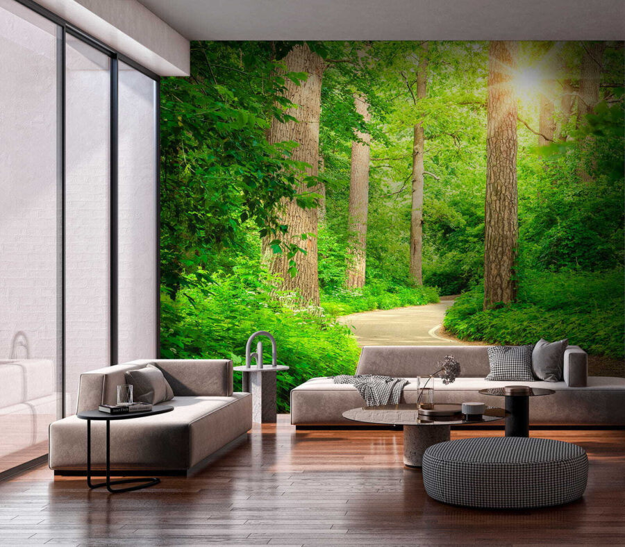 Wall murals Road through a forest - Image 6