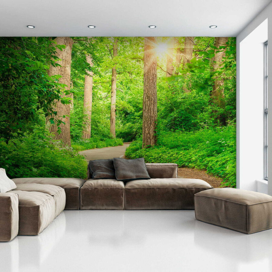 Wall murals Road through a forest - Image 5