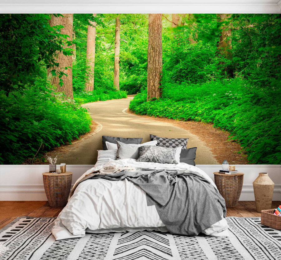 Wall murals Road through a forest - Image 4