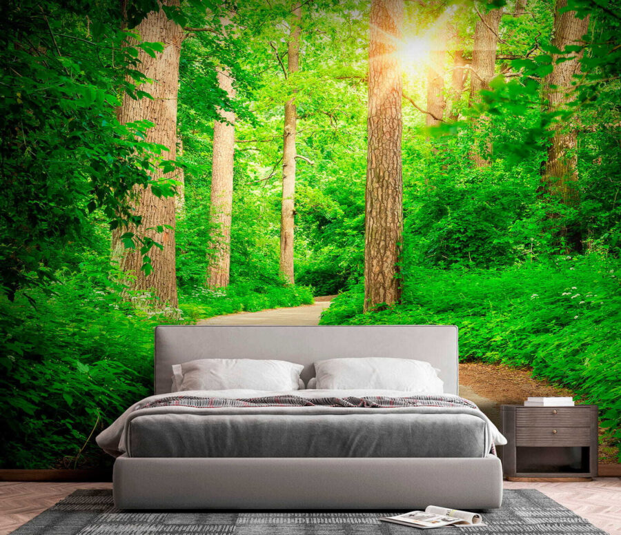 Wall murals Road through a forest - Image 3