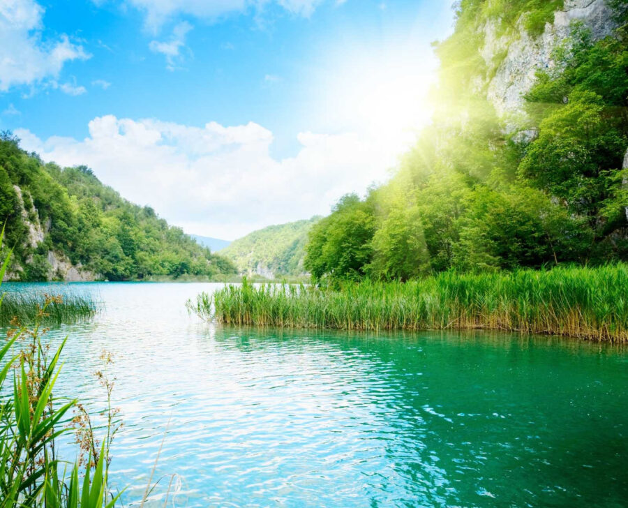 Body of water with grass and trees around it u54263p 900x728 - Body of water with grass and trees around it - tegory