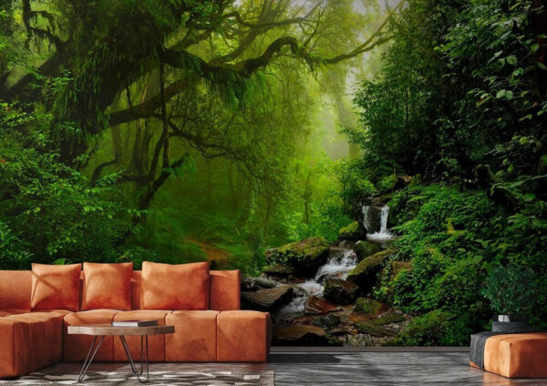 Stream running through a forest