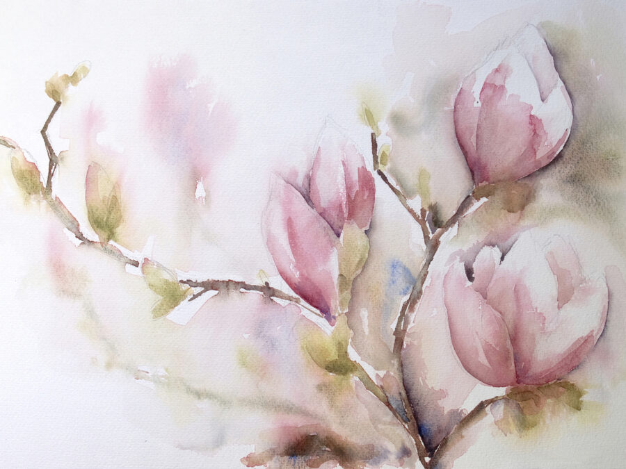 Watercolor painting of pink flowers