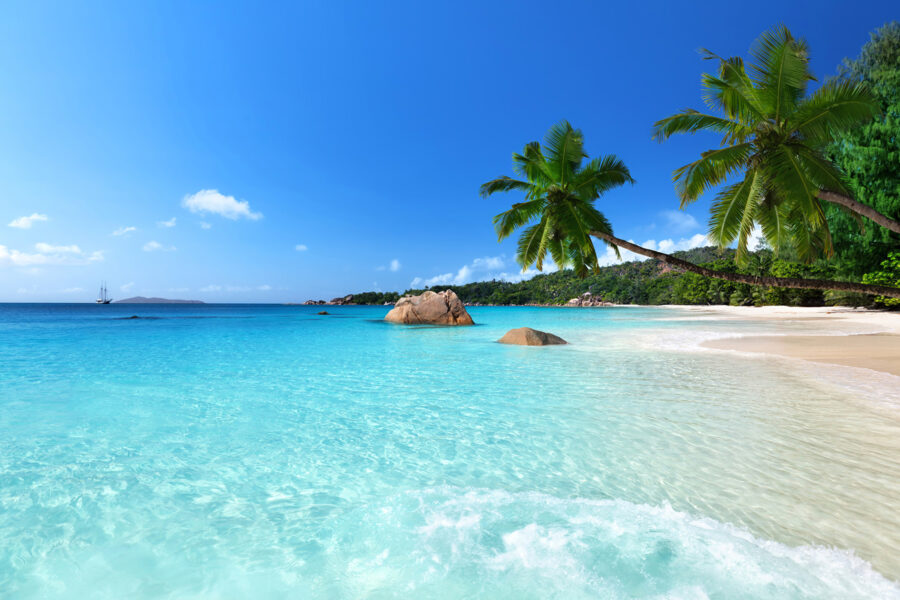 Beach with palm trees and blue water