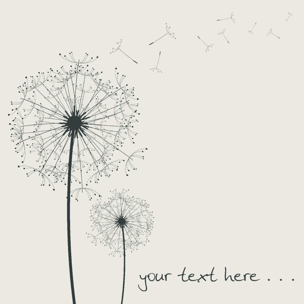 Delicate blooms drifting in the wind Delicate blooms drifting in the wind